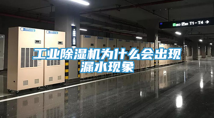 工业91免费网站在线观看为什么会出现漏水现象