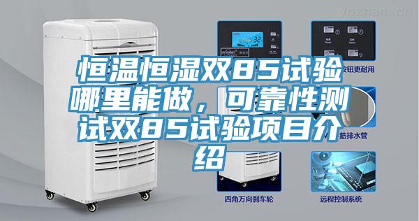 恒温恒湿双85试验哪里能做，可靠性测试双85试验项目介绍