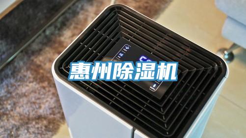 惠州91免费网站在线观看