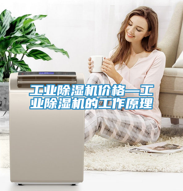 工业91免费网站在线观看价格—工业91免费网站在线观看的工作原理