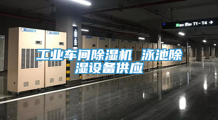 工业车间91免费网站在线观看 泳池除湿设备供应