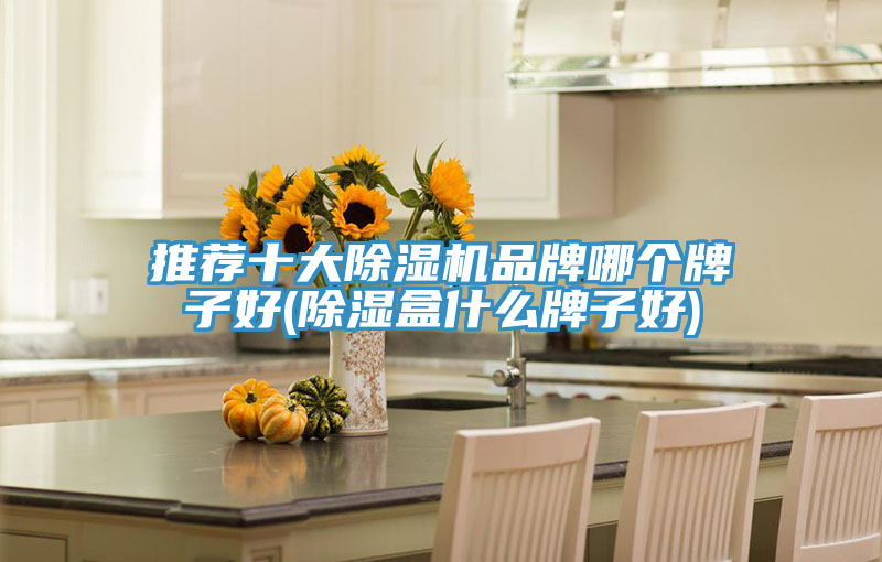 推荐十大91免费网站在线观看品牌哪个牌子好(除湿盒什么牌子好)