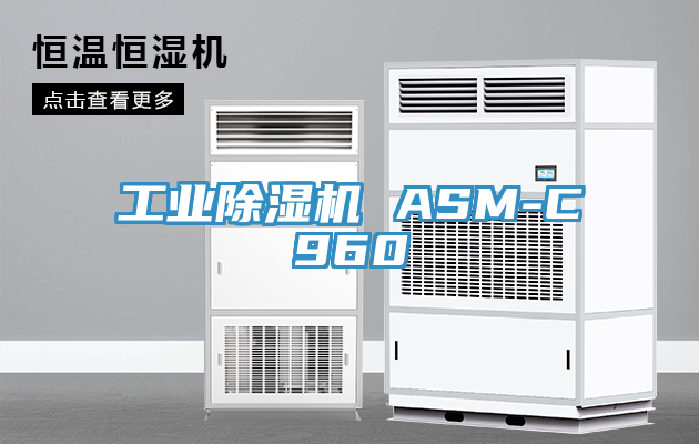工业91免费网站在线观看 ASM-C960