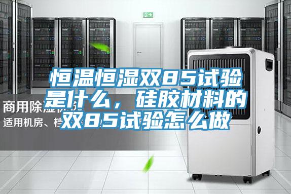 恒温恒湿双85试验是什么，硅胶材料的双85试验怎么做