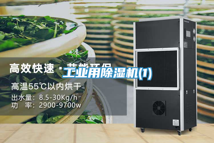工业用91免费网站在线观看(1)