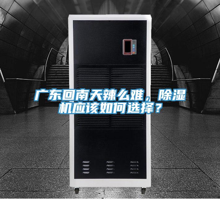 广东回南天辣么难，91免费网站在线观看应该如何选择？