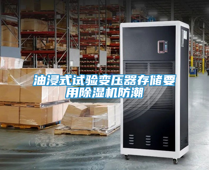 油浸式试验变压器存储要用91免费网站在线观看防潮