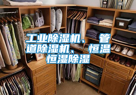 工业91免费网站在线观看、 管道91免费网站在线观看、 恒温恒湿除湿