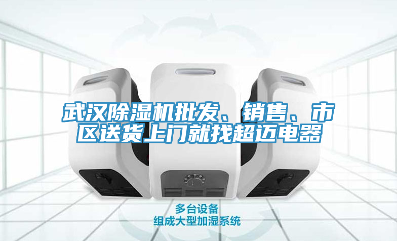 武汉91免费网站在线观看批发、销售、市区送货上门就找超迈电器
