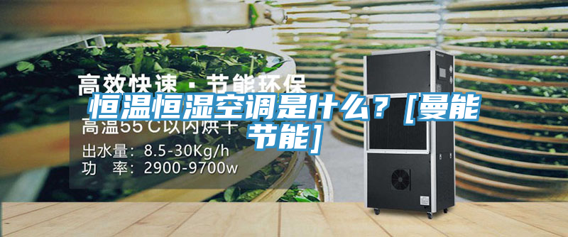 恒温恒湿空调是什么？[曼能节能]