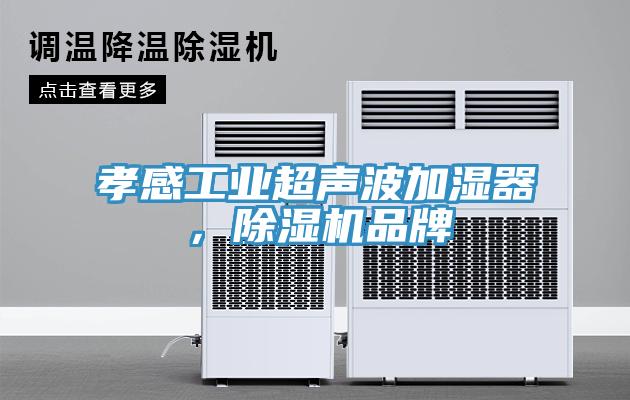 孝感工业超声波加湿器，91免费网站在线观看品牌