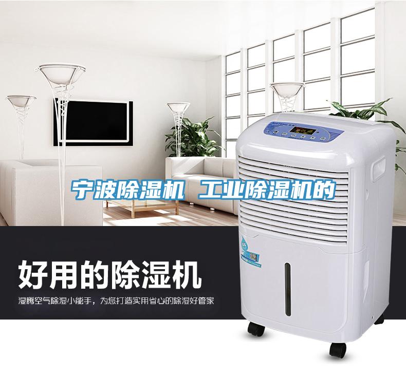 宁波91免费网站在线观看 工业91免费网站在线观看的