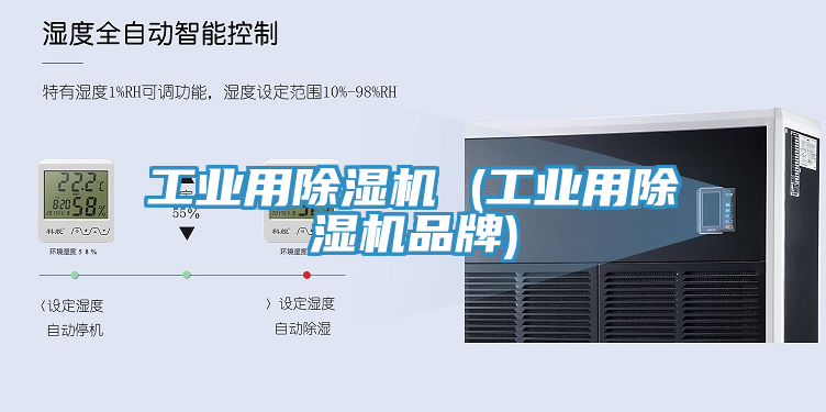 工业用91免费网站在线观看 (工业用91免费网站在线观看品牌)