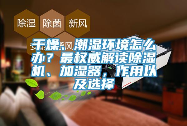 干燥、潮湿环境怎么办？最权威解读91免费网站在线观看、加湿器，作用以及选择