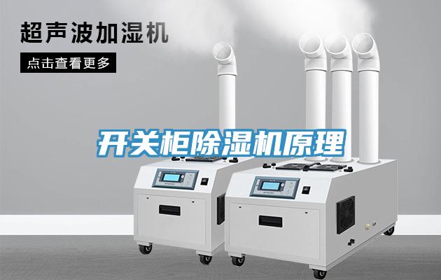 开关柜91免费网站在线观看原理