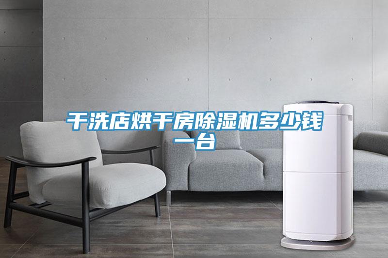 干洗店烘干房91免费网站在线观看多少钱一台