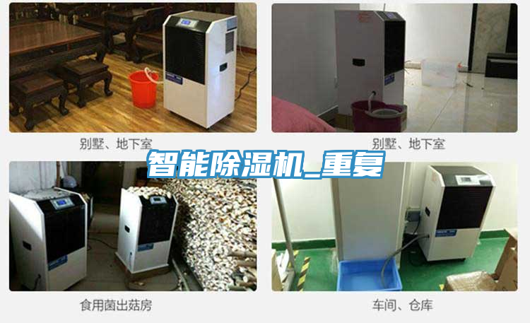智能91免费网站在线观看_重复