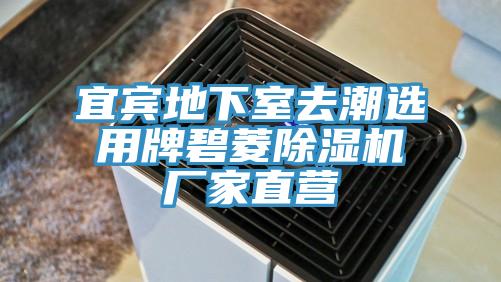 宜宾地下室去潮选用牌碧菱91免费网站在线观看厂家直营