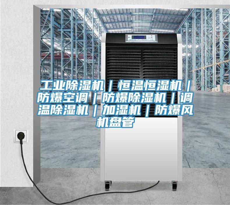 工业91免费网站在线观看｜恒温恒湿机｜防爆空调｜防爆91免费网站在线观看｜调温91免费网站在线观看｜加湿机｜防爆风机盘管