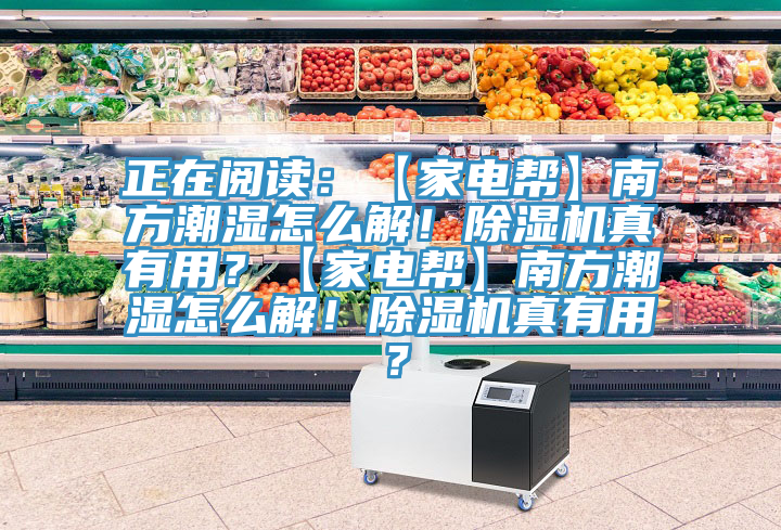 正在阅读：【家电帮】南方潮湿怎么解！91免费网站在线观看真有用？【家电帮】南方潮湿怎么解！91免费网站在线观看真有用？