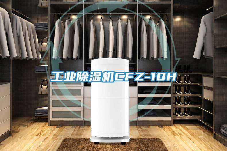 工业91免费网站在线观看CFZ-10H