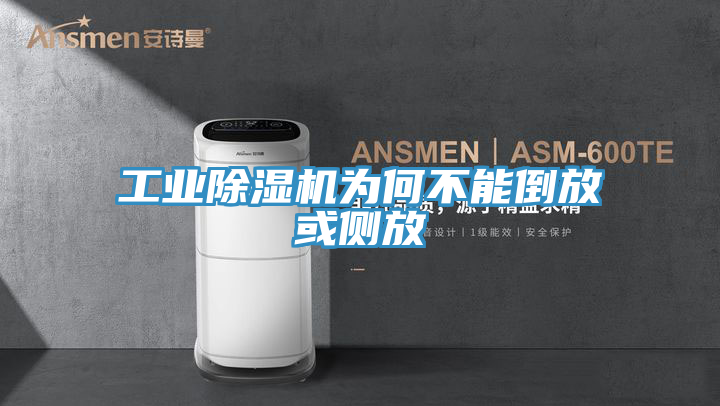 工业91免费网站在线观看为何不能倒放或侧放