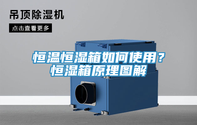 恒温恒湿箱如何使用？恒湿箱原理图解
