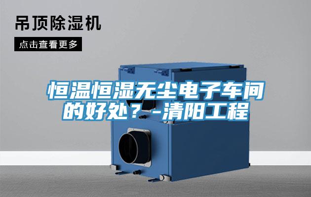 恒温恒湿无尘电子车间的好处？-清阳工程