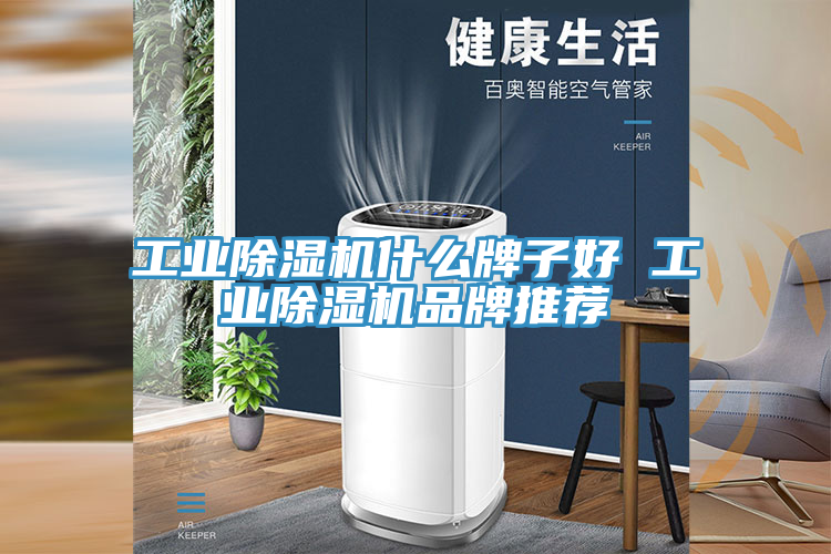 工业91免费网站在线观看什么牌子好 工业91免费网站在线观看品牌推荐