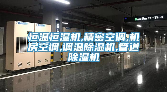 恒温恒湿机,精密空调,机房空调,调温91免费网站在线观看,管道91免费网站在线观看