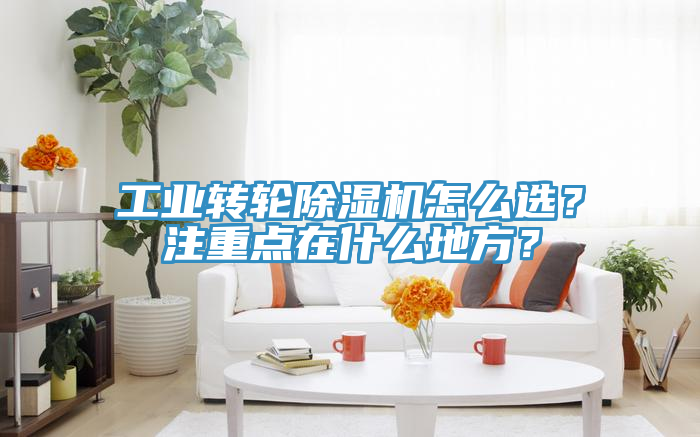 工业转轮91免费网站在线观看怎么选？注重点在什么地方？