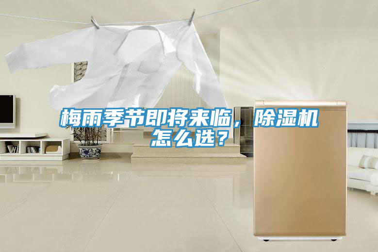 梅雨季节即将来临，91免费网站在线观看怎么选？