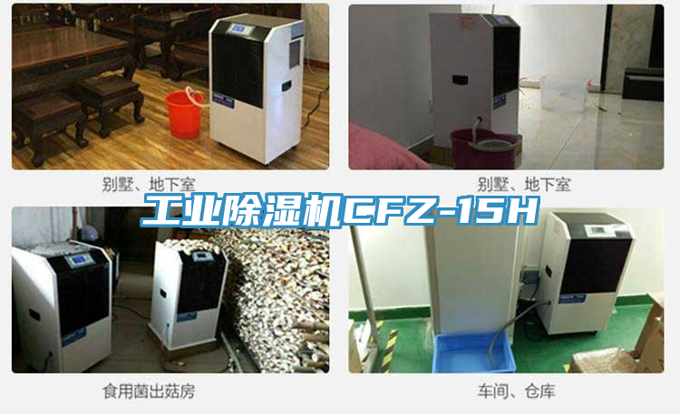 工业91免费网站在线观看CFZ-15H