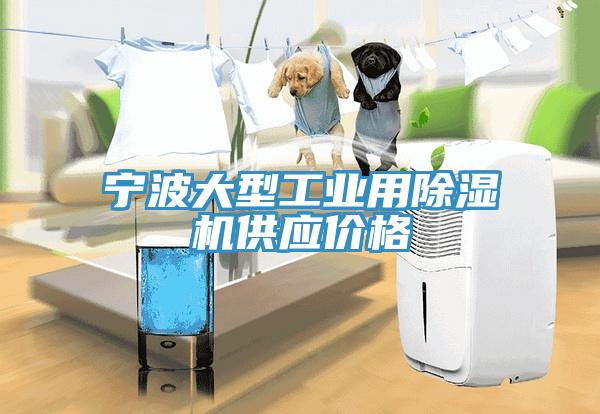 宁波大型工业用91免费网站在线观看供应价格