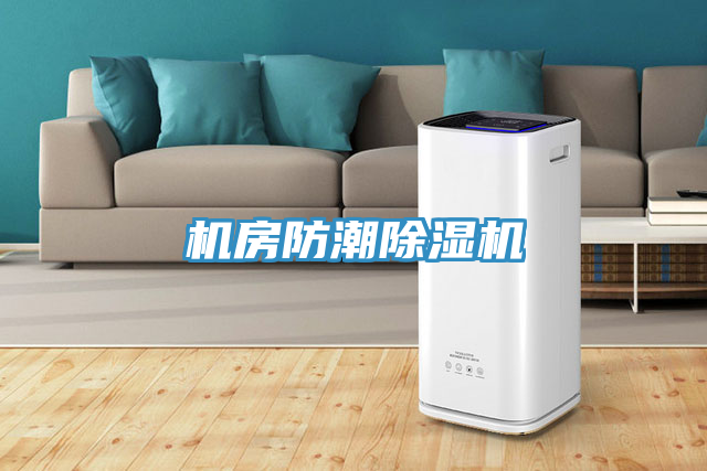 机房防潮91免费网站在线观看