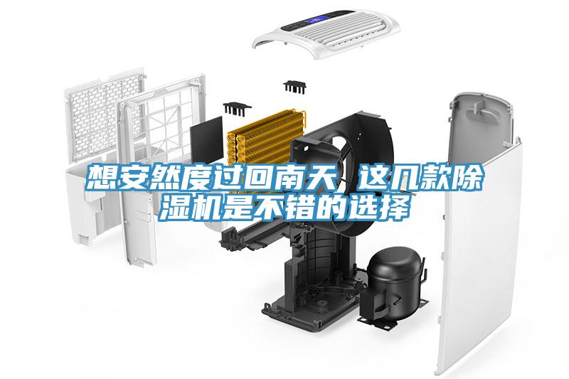 想安然度过回南天 这几款91免费网站在线观看是不错的选择