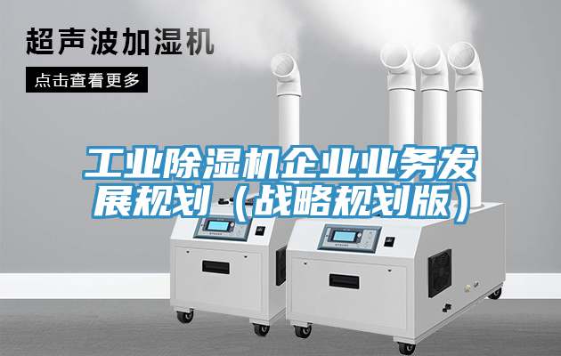 工业91免费网站在线观看企业业务发展规划（战略规划版）