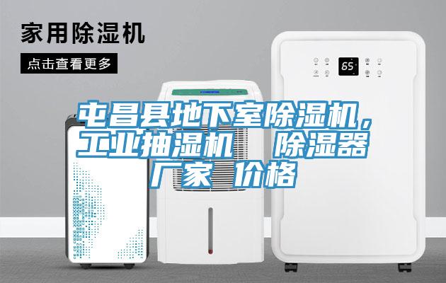 屯昌县地下室91免费网站在线观看，工业抽湿机  除湿器厂家 价格