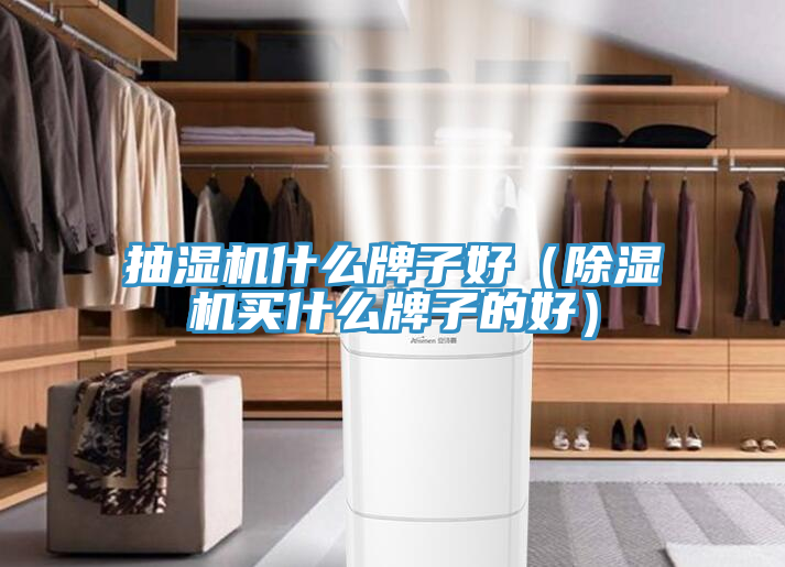 抽湿机什么牌子好（91免费网站在线观看买什么牌子的好）