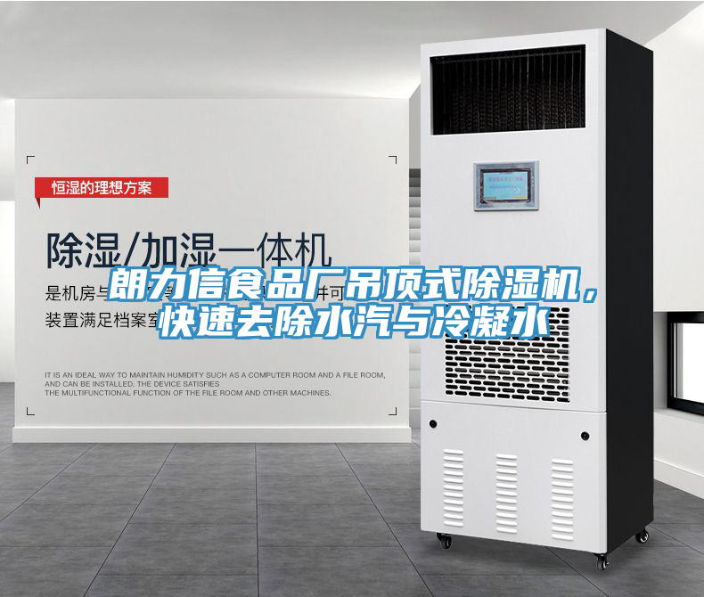 朗力信食品厂吊顶式91免费网站在线观看，快速去除水汽与冷凝水