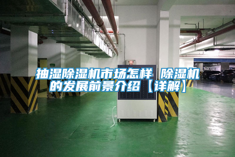 抽湿91免费网站在线观看市场怎样 91免费网站在线观看的发展前景介绍【详解】
