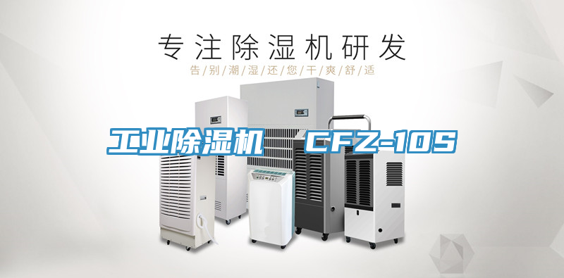 工业91免费网站在线观看  CFZ-10S