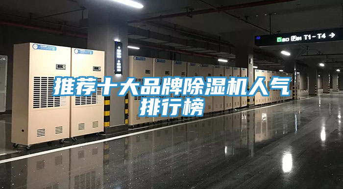 推荐十大品牌91免费网站在线观看人气排行榜