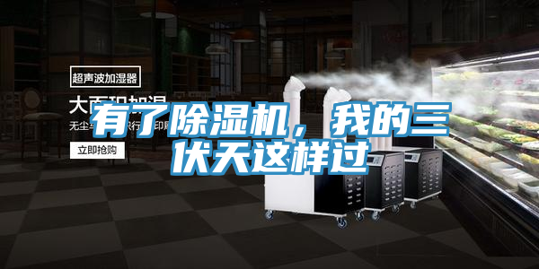 有了91免费网站在线观看，我的三伏天这样过