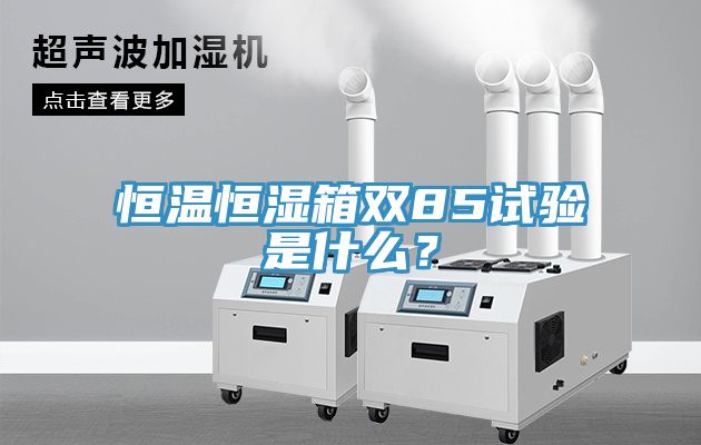 恒温恒湿箱双85试验是什么？