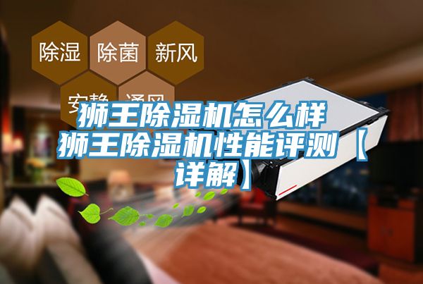 狮王91免费网站在线观看怎么样 狮王91免费网站在线观看性能评测【详解】