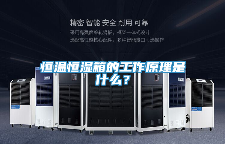 恒温恒湿箱的工作原理是什么？