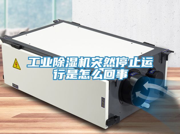 工业91免费网站在线观看突然停止运行是怎么回事