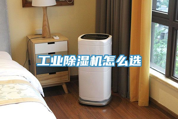 工业91免费网站在线观看怎么选