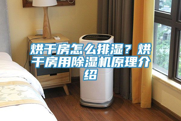 烘干房怎么排湿？烘干房用91免费网站在线观看原理介绍